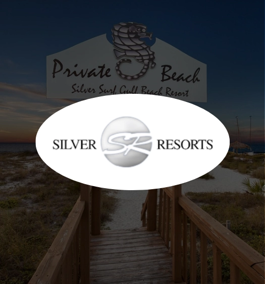 Silver Resort - Portfolio